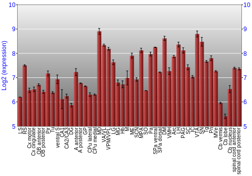 Multi-state expression graph
