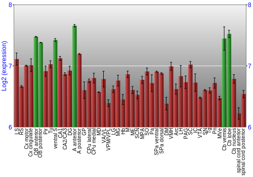 Multi-state expression graph