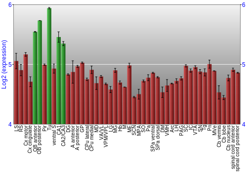 Multi-state expression graph