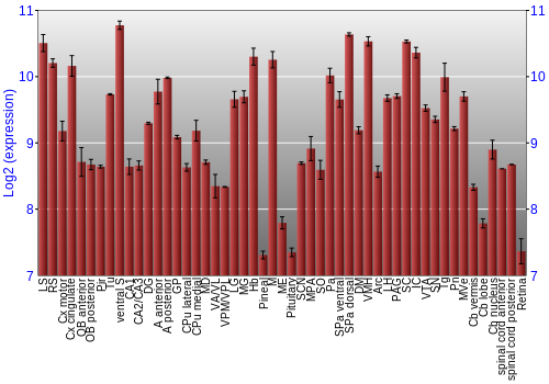 Expression graph