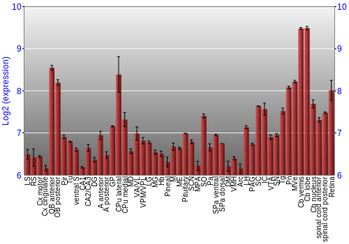 Expression graph