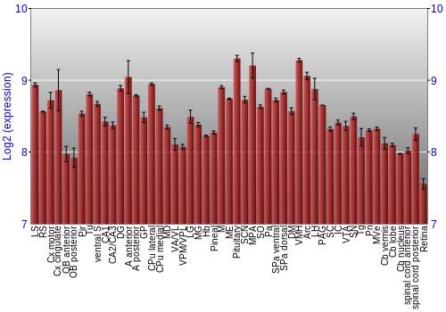 Expression graph