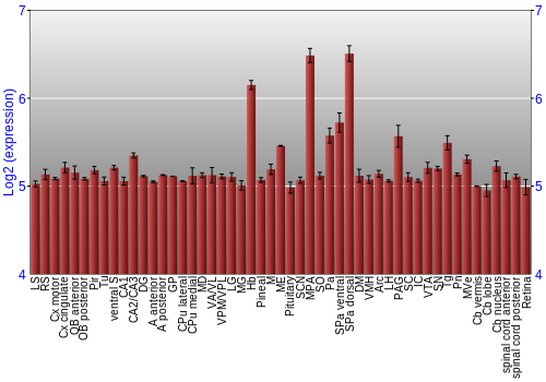 Expression graph