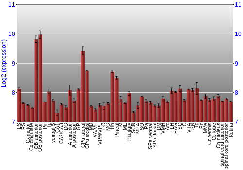 Expression graph