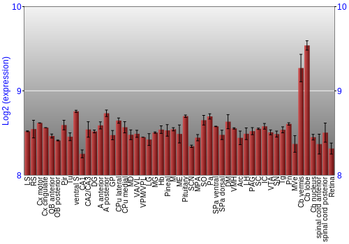 Expression graph