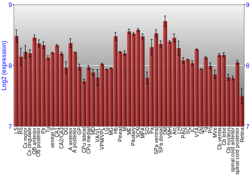 Expression graph