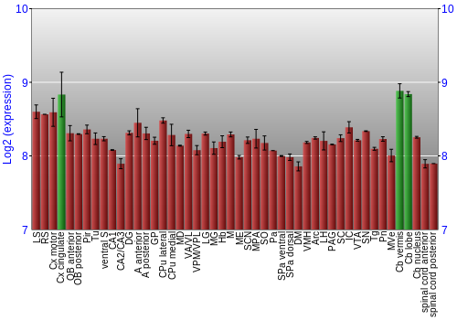 Multi-state expression graph