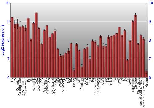 Expression graph