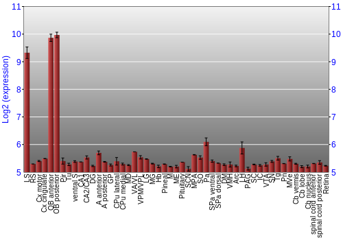 Expression graph
