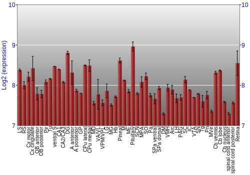 Expression graph