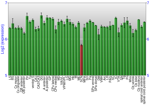 Multi-state expression graph