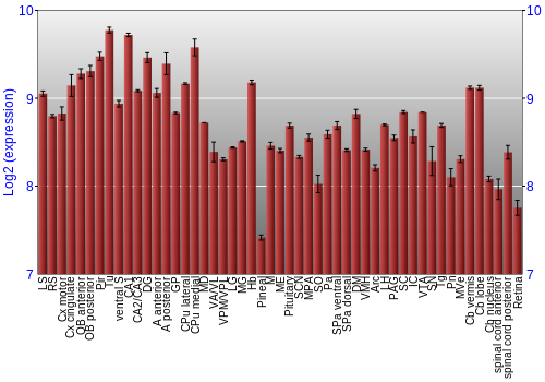 Expression graph