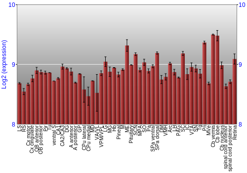 Expression graph