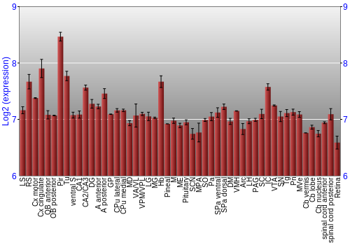 Expression graph