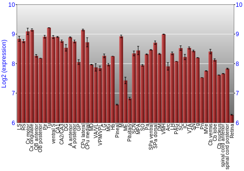 Expression graph