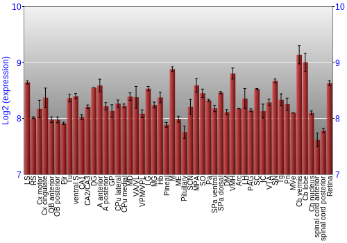 Expression graph