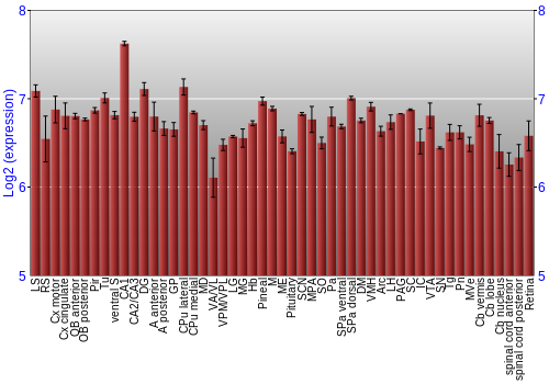 Expression graph