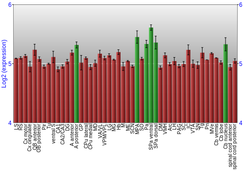 Multi-state expression graph