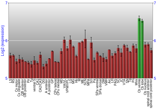 Multi-state expression graph