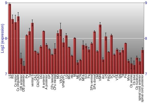 Multi-state expression graph