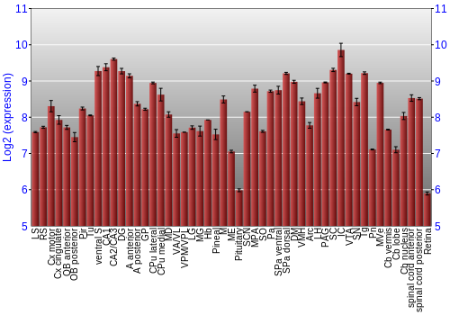 Expression graph
