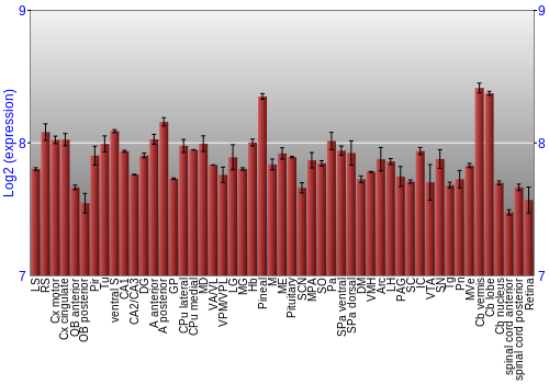 Expression graph
