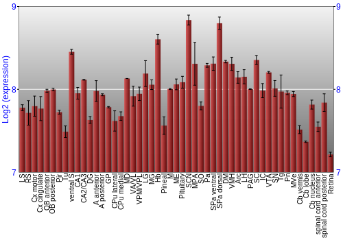 Expression graph
