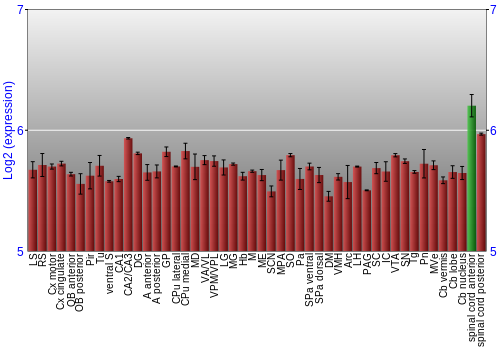 Multi-state expression graph