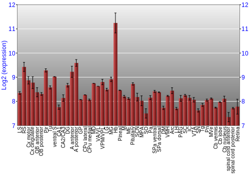 Expression graph