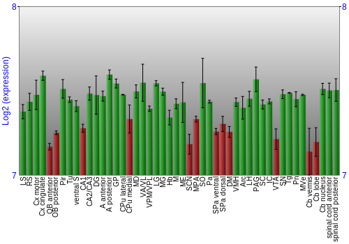 Multi-state expression graph