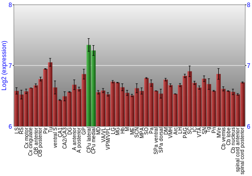 Multi-state expression graph