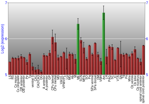 Multi-state expression graph