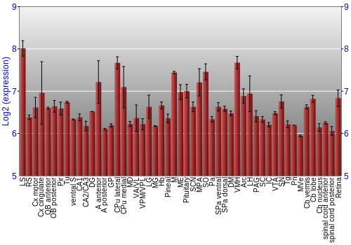 Expression graph