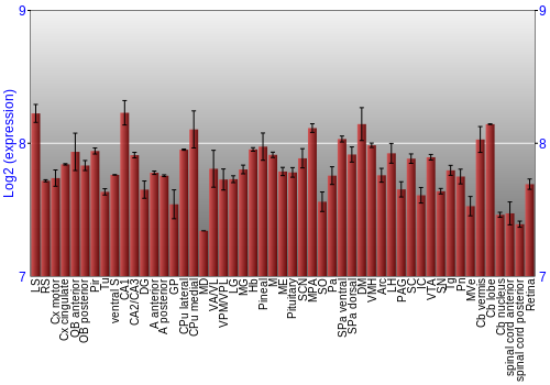 Expression graph