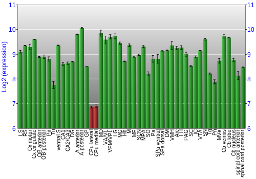 Multi-state expression graph