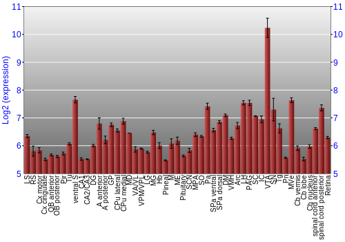 Expression graph