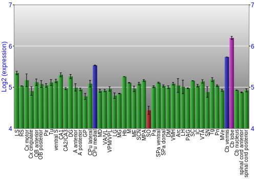 Multi-state expression graph