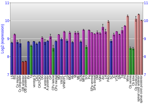 Multi-state expression graph