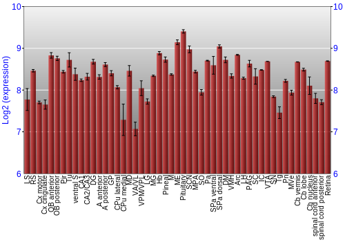 Expression graph