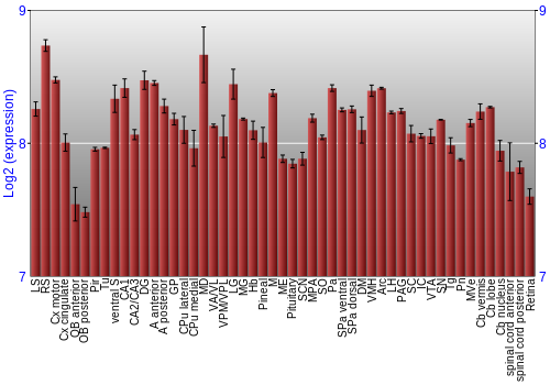 Expression graph