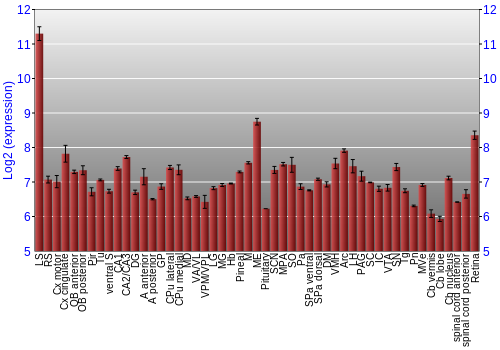 Expression graph