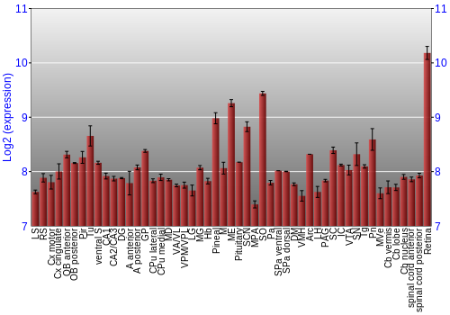 Expression graph