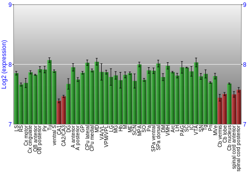 Multi-state expression graph
