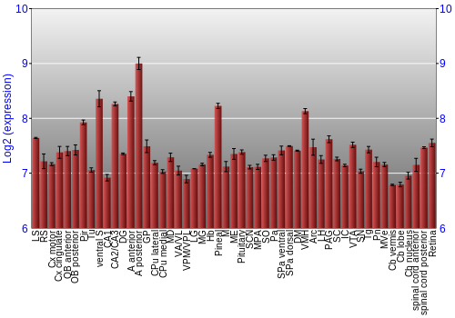 Expression graph