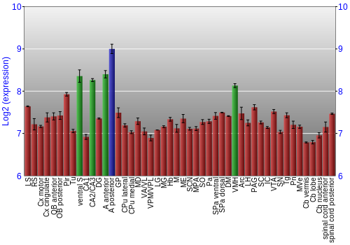 Multi-state expression graph