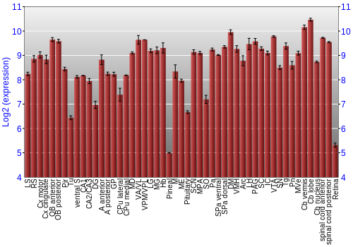 Expression graph