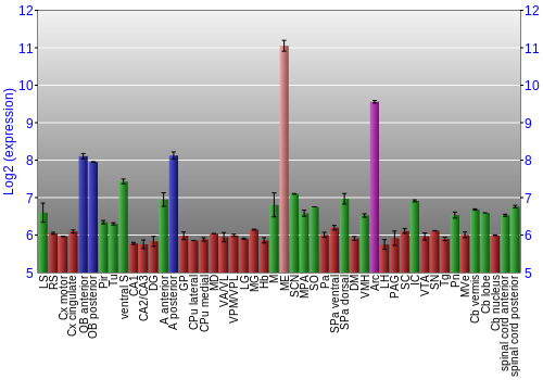 Multi-state expression graph