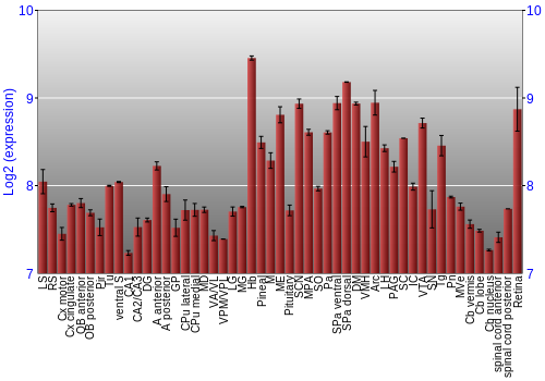 Expression graph