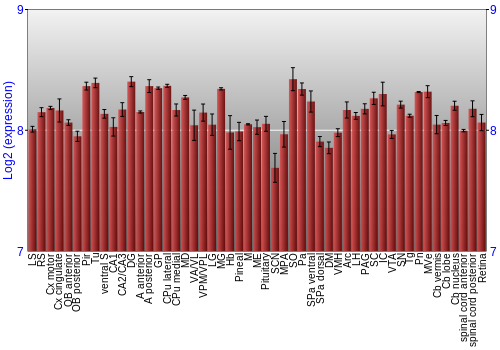 Expression graph