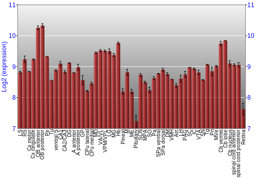 Expression graph